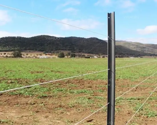 Durable T post used for wire fencing support.